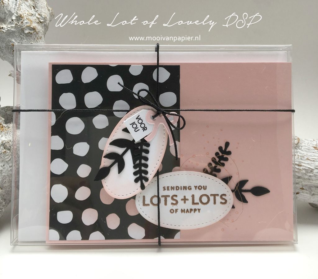 Stampin'Up! Whole Lot of Lovely DSP